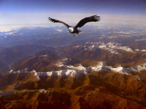 Gwaihir_the_Windlord